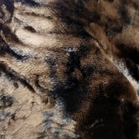Короткошерстый мех из Италии ми-008